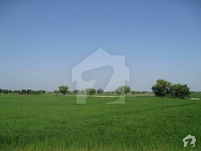 Agriculture Land For Sale 45  Acre