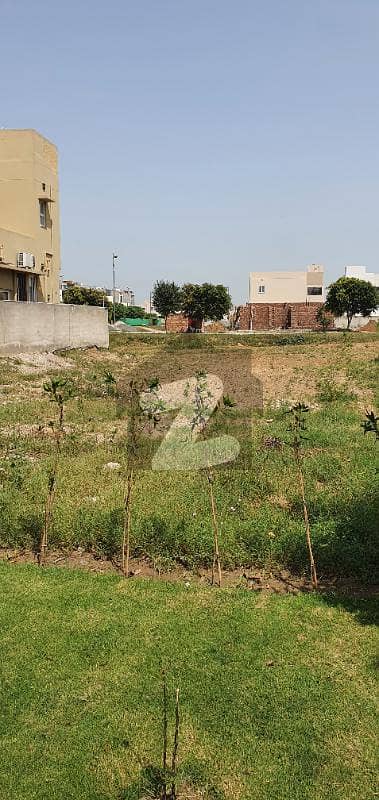 Cheep Price Good Location 1 Kanal Ideal Plot Direct Approach Available For Sale In Dha Phase 6