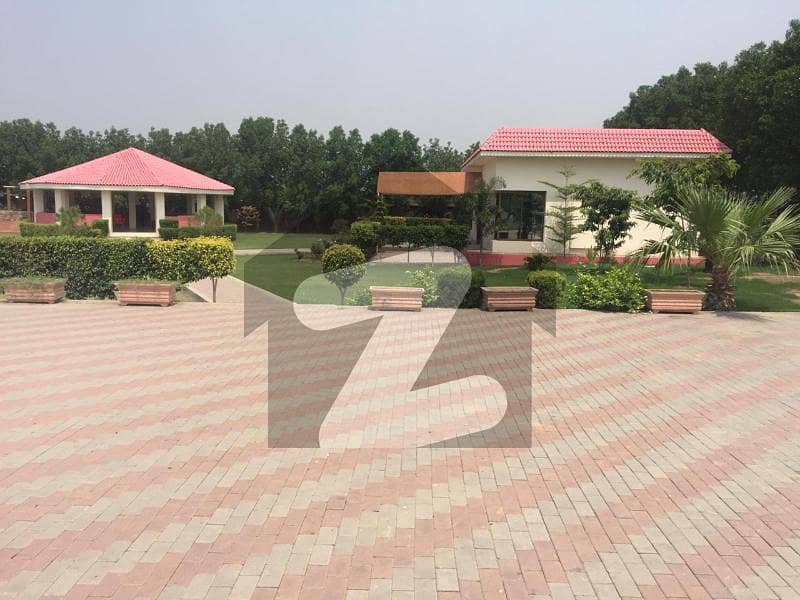 Farmhouse For Sale 45 Lac Per Kanal 1km From Dha Phase 7 Main Barki Road Prime Location