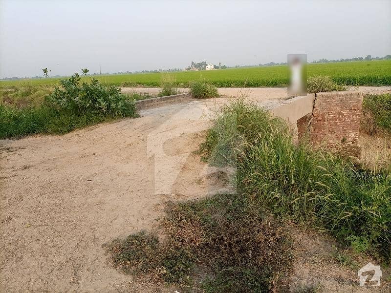 7 Acre Agriculture  Land Qila Didar Singh