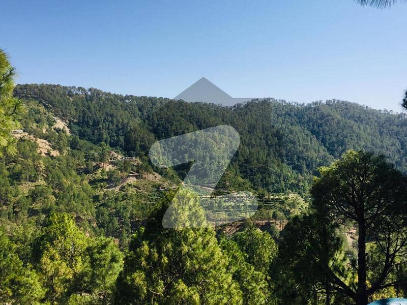 1 Kanal Plot For Sale At Near By Main Expressway Murree With Installments