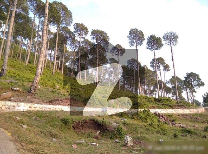 Almost Plane Plot Available Nearby Main Expressway Muree