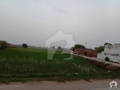 Ideal Residential Plot For Sale In New Gojra Town