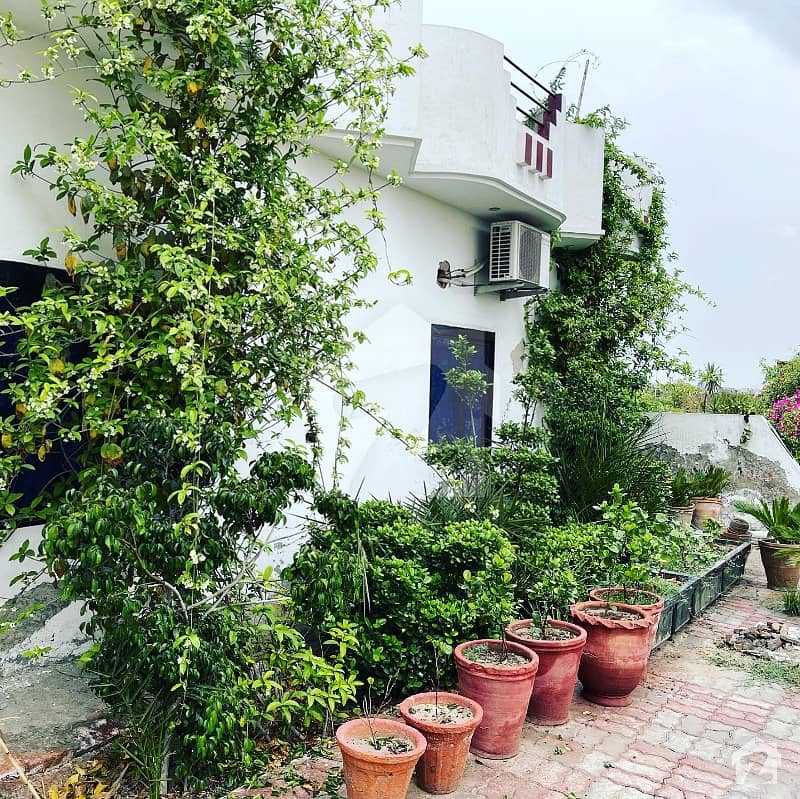 A Farm House Of 5 Kanal For Sale