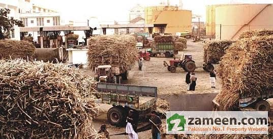 Running Sugar Mill For Sale  In KPK Peshawar