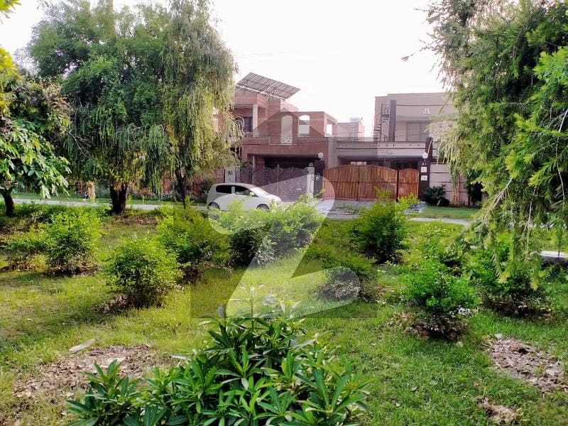 Buy A 1 Kanal House For Sale In Mustafa Town
