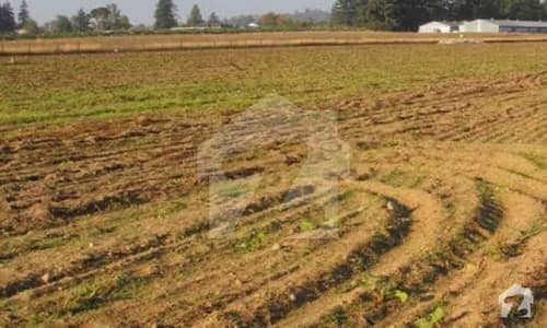 Agriculture Land For Sale District Kasur