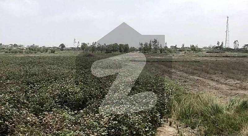 50 Acres Agricultural Land Is Available For Rent Near Gharo