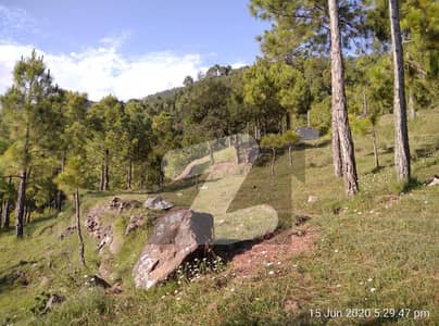 5 Marla Plot For Sale  Exactly At Murree Expressway Motorway