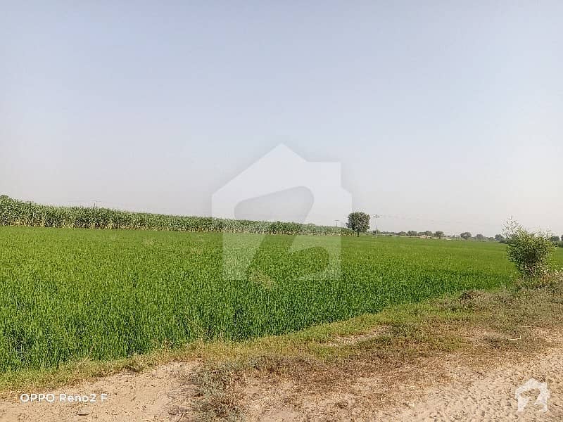 6 Muraba Agriculture Land Near Kacha Khoo Khanewal