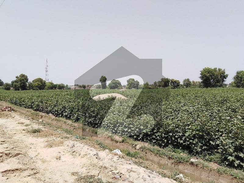 Agricultural Land For Grabs In 280 Kanal - 35 Acre Main Liaqat-Pur