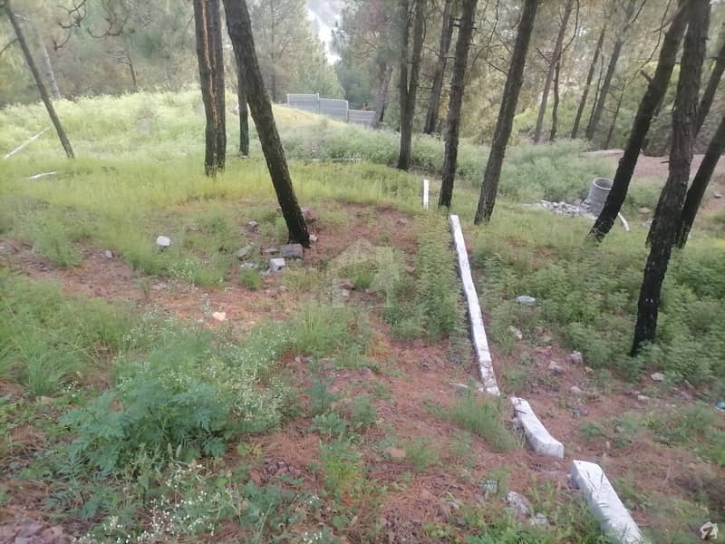 Fairly-priced Commercial Plot Available In Abbottabad Heights Road