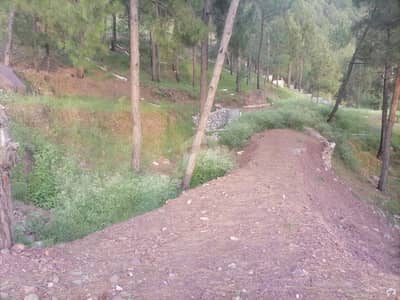 Rs 5,500,000 Commercial Plot Available In Abbottabad Heights Road