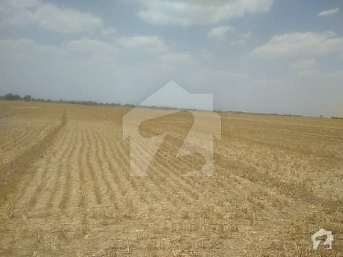 Agriculture Land For Sale Near Kasur