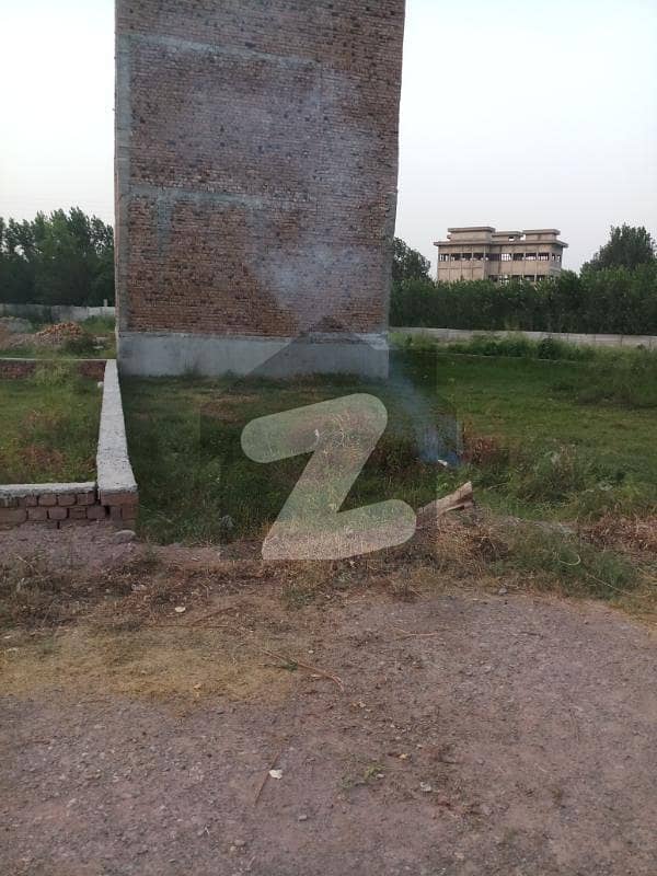 5 Marla Plot At Alharm Green G. t Road 5 Marla Plot At Alharm Green G. t Road