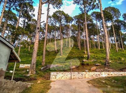 Plot Available In Murree