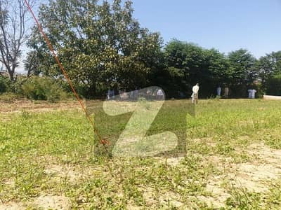 1 Kanal Plot Available For Sale In Phase 13, Jia Mera Road College Duraha