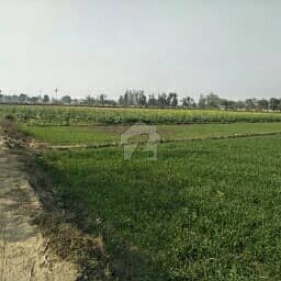 Best For Investment Agricultural Land For Sale