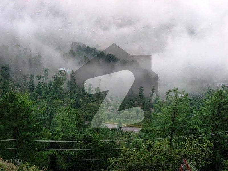 7 Marla Plot On Hill Top With Murree View