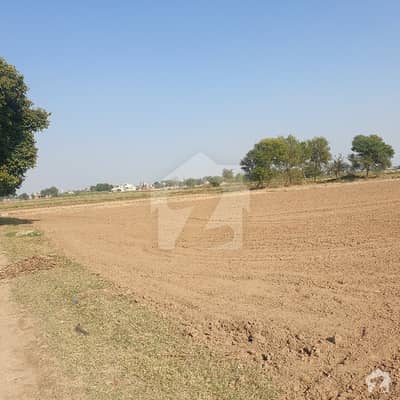 This Is Your Chance To Buy Farm House In Zafarwal Road Zafarwal Road