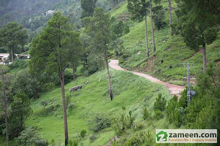 1 Kanal Land For Farmhouse In Murree Resorts A Hill Station Project
