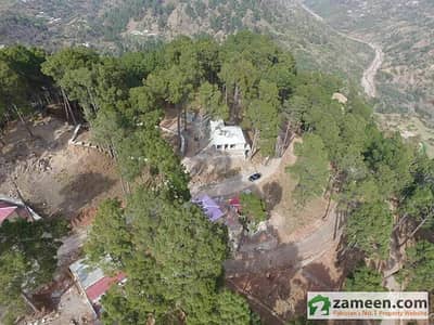 10 Marla Plot For Sale In Murree Resorts A Hill Station Project With All Modern Facilities 10 Marla Plot For Sale In Murree Resorts A Hill Station Project With All Modern Facilities