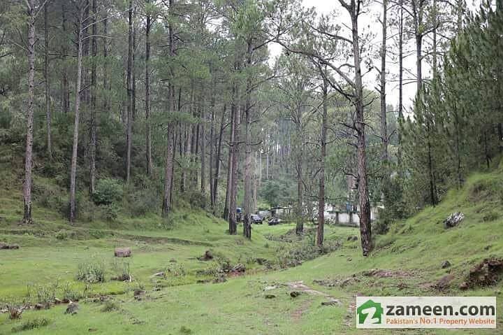 5 Kanal Farmhouse Land For Sale In Murree On Mall Road