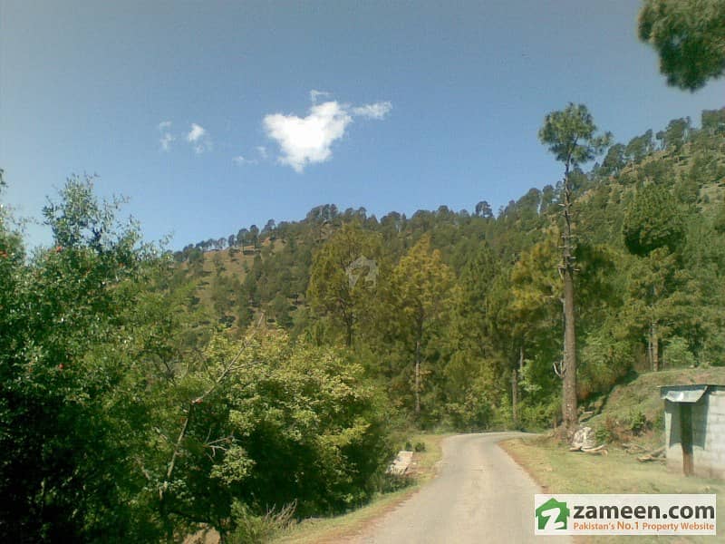 300 kanal Land for Sale In New Muree