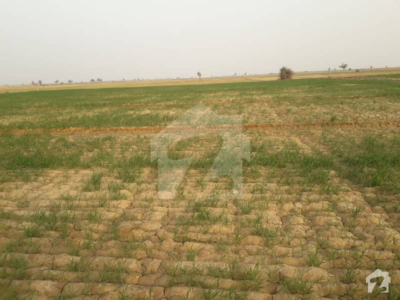 Own A Agricultural Land In 540000 Square Feet Fort Abbas