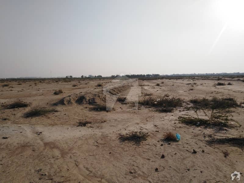 Plot Is Available For Sale At Maroora Goth Near Chapal Sun city