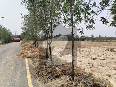 بیدیاں روڈ لاہور میں 8 مرلہ زرعی زمین 95 لاکھ میں برائے فروخت۔