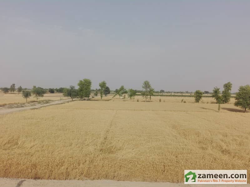 25 Acre Agricultural Land Is Available For Sale Lahore Motorway, Multan ID10338896
