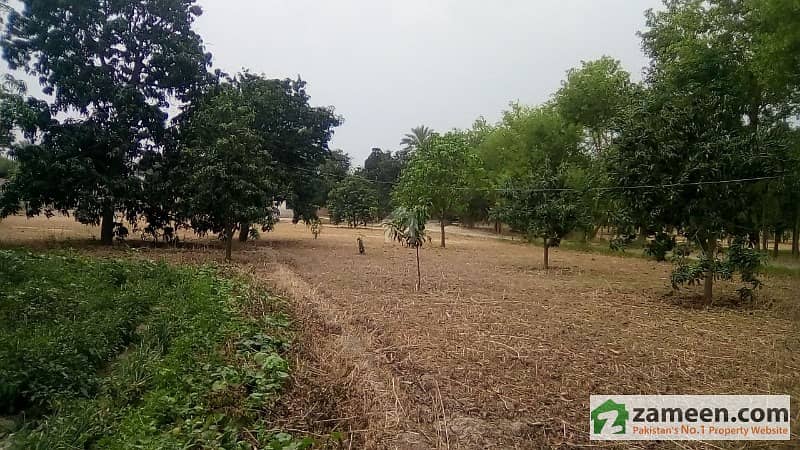 Multan Business Property Center Offers Agricultural Land For Sale