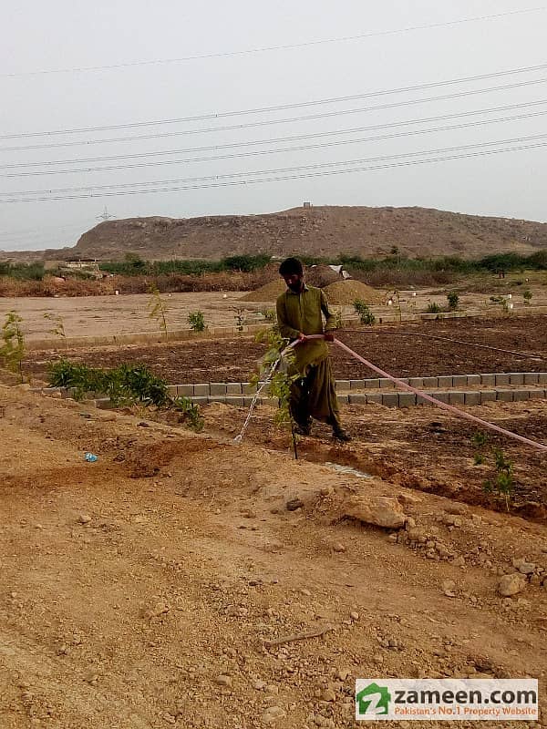 Square Yards Plot File For Sale near to Baldia town. Square Yards Plot File For Sale near to Baldia town.