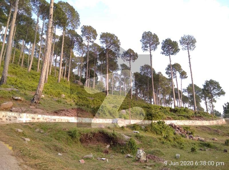Almost Plane Plot Available In Isolated Project In Murree