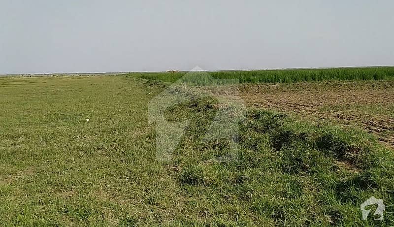 Buy 1890000 Square Feet Agricultural Land At Highly Affordable Price