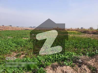 Agricultural Land and Agriculture Plots for Rent in Rawalpindi - Zameen.com