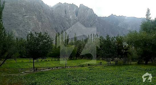 67500 Square Feet Agricultural Land For Sale In Beautiful Shigar Baltistan