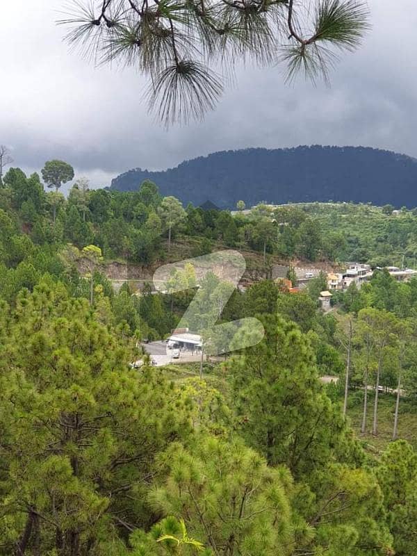Reserve A Centrally Located Residential Plot In Upper Jhika Gali Road
