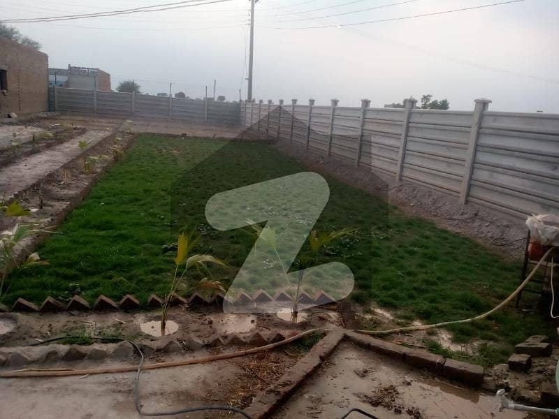 Dairy & Cattle Farm For Sale In Jaboka Road Okara