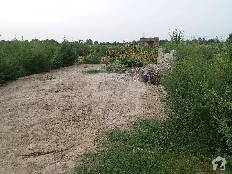 5 Marla Plot For Sale In Jatial Village 5 Marla Plot For Sale In Jatial Village