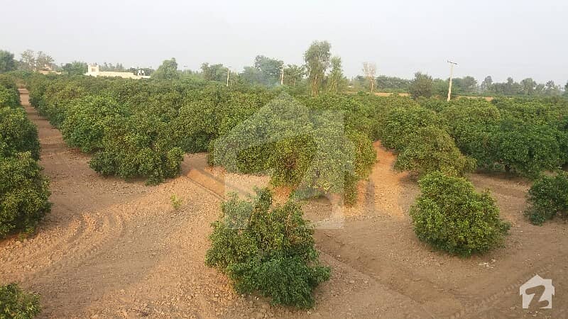 Agricultural Land In Kot Momin Sized 540000 Square Feet Is Available