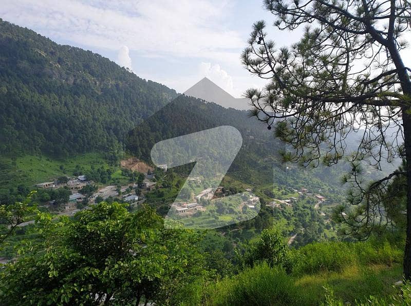 1 Kannal Plot At Hill Top Prime Location Of Makhnyial