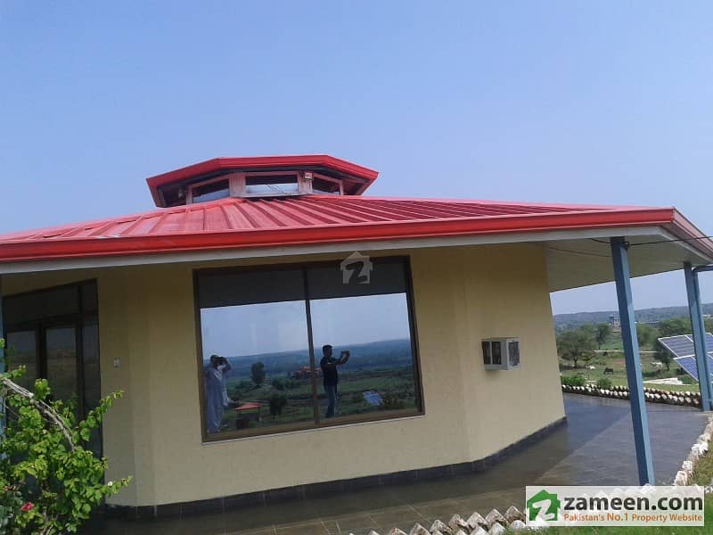 Hamilton Agro Cattle Farms For Sale Hamilton Agro Cattle Farms For Sale