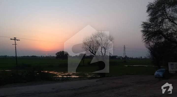 Looking For A Agricultural Land In Sialkot Road Sialkot Road
