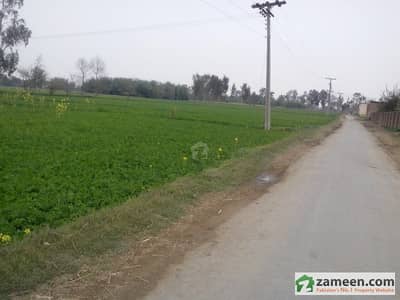 Fertile Agriculture land 17 Acres 15 km away from Main GT Road Faisalabad  Sheikhpura