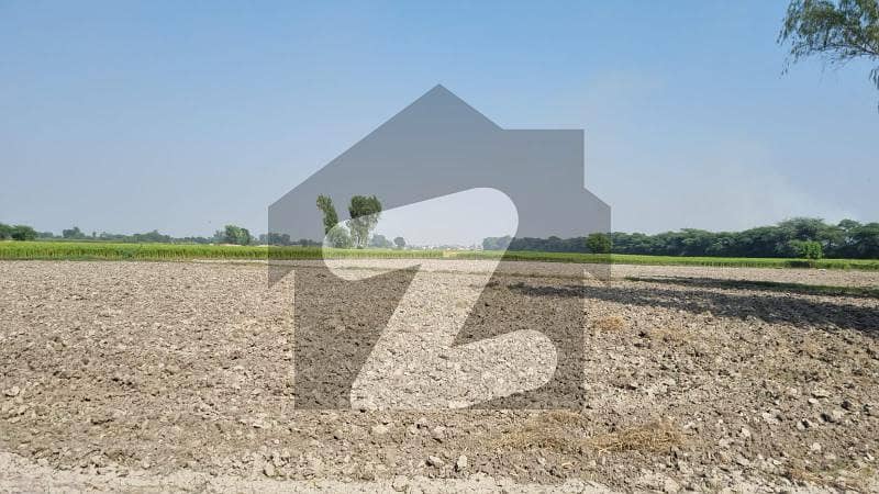 3 Acre Agriculture Land For Sale