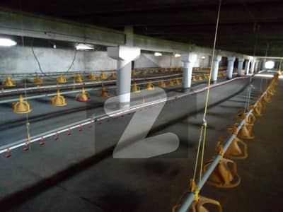 Control Poultry Factory Furnished Double Storey for Sale