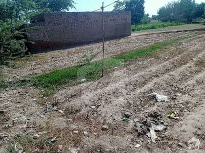 Book A Agricultural Land Of 3600 Square Feet In Faisalabad Road Faisalabad Road