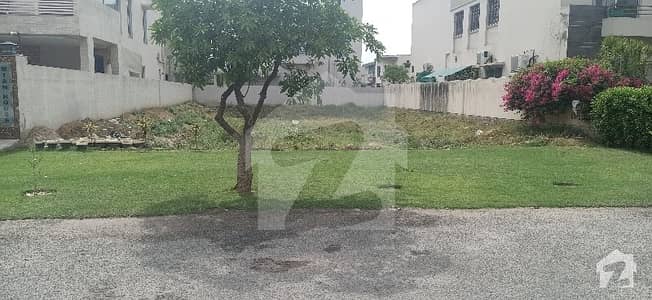 Plot For Sale In Reasonable Price